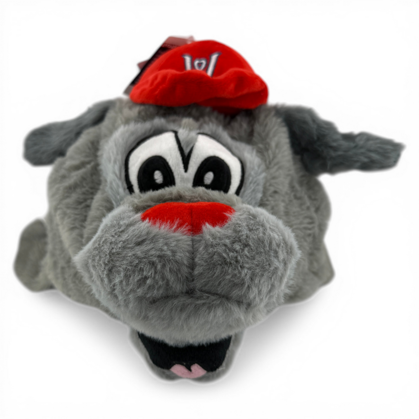 FOCO Worcester Red Sox WooSox Woofster Plush Dog Mascot Trapper Beanie Hat ADULT