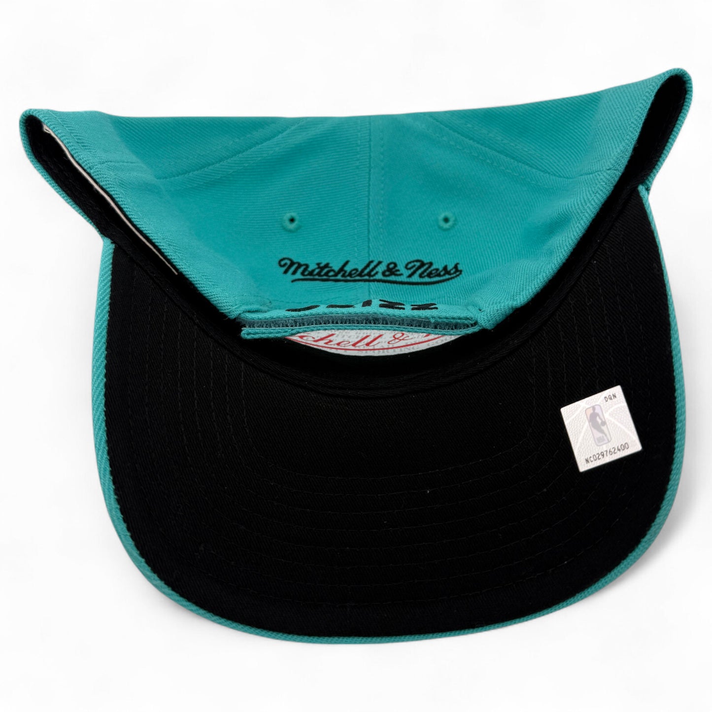 Mitchell & Ness Vancouver Grizzlies The Roy Fit Low Profile Adjustable Hat Cap