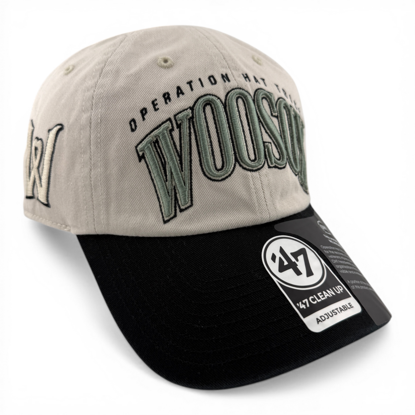 '47 Brand Worcester Red Sox WooSox MiLB OHT Glory Clean Up Adjustable Dad Hat