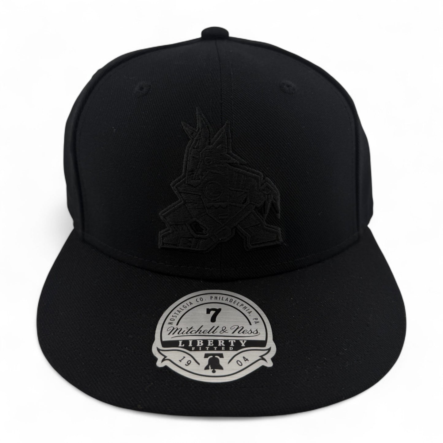 Mitchell & Ness Arizona Coyotes NHL All Black Blacked Out Dynasty Fitted Hat Cap