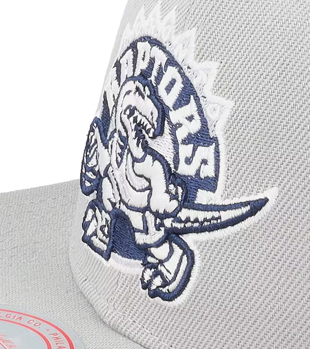 Mitchell & Ness Toronto Raptors NBA 20th Season The District Grey Snapback Hat