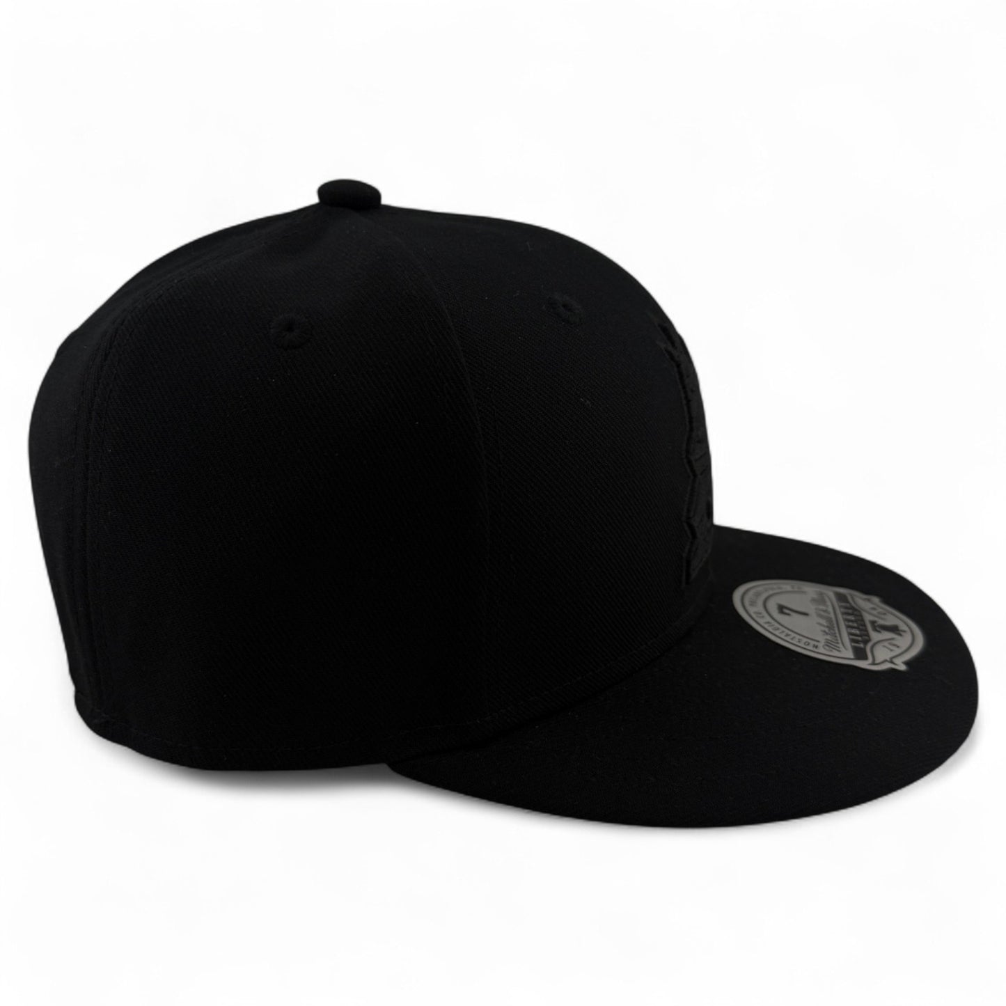 Mitchell & Ness Arizona Coyotes NHL All Black Blacked Out Dynasty Fitted Hat Cap