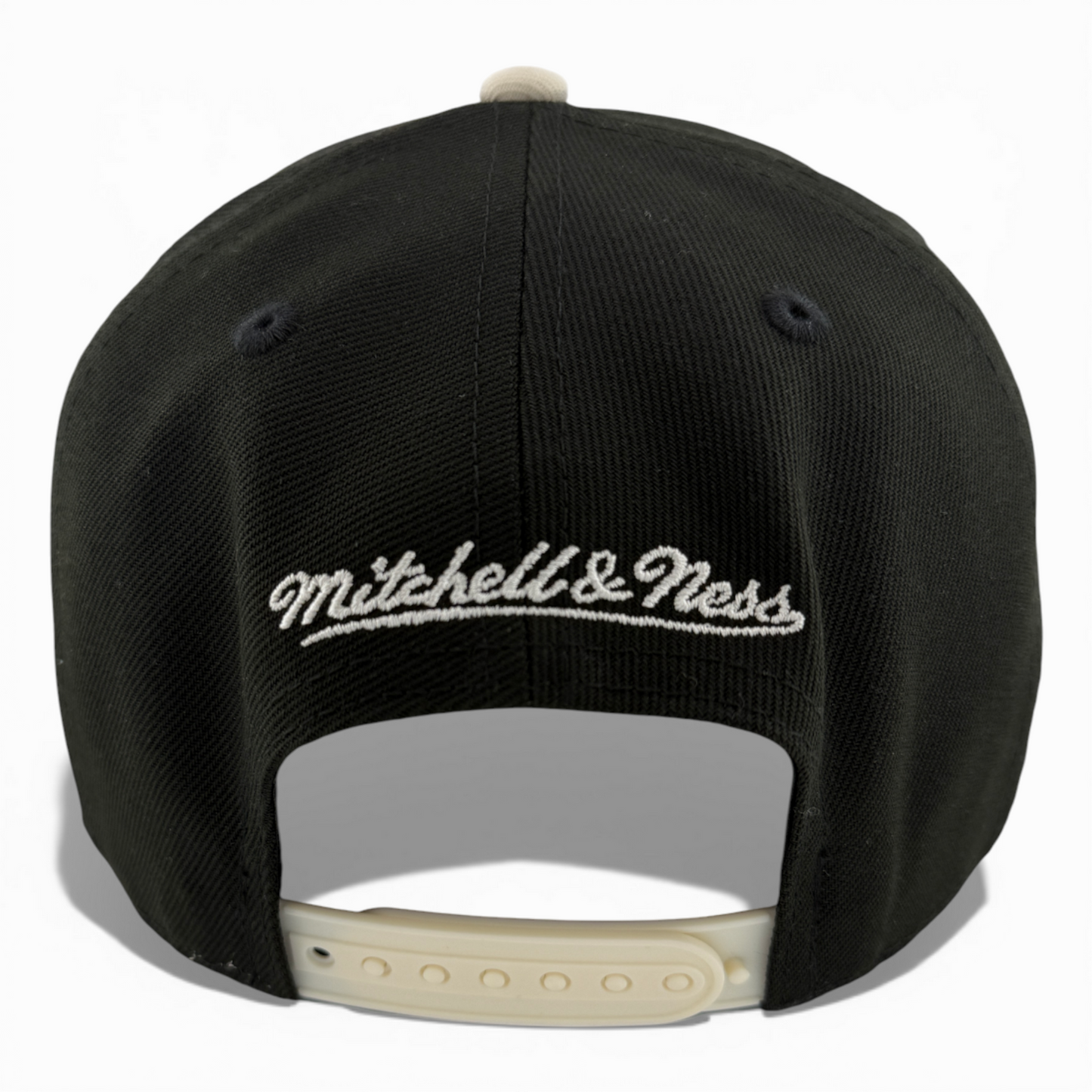 Mitchell & Ness Los Angeles Dodgers Palm A-Frame Pro Pinch Snapback Adjustable