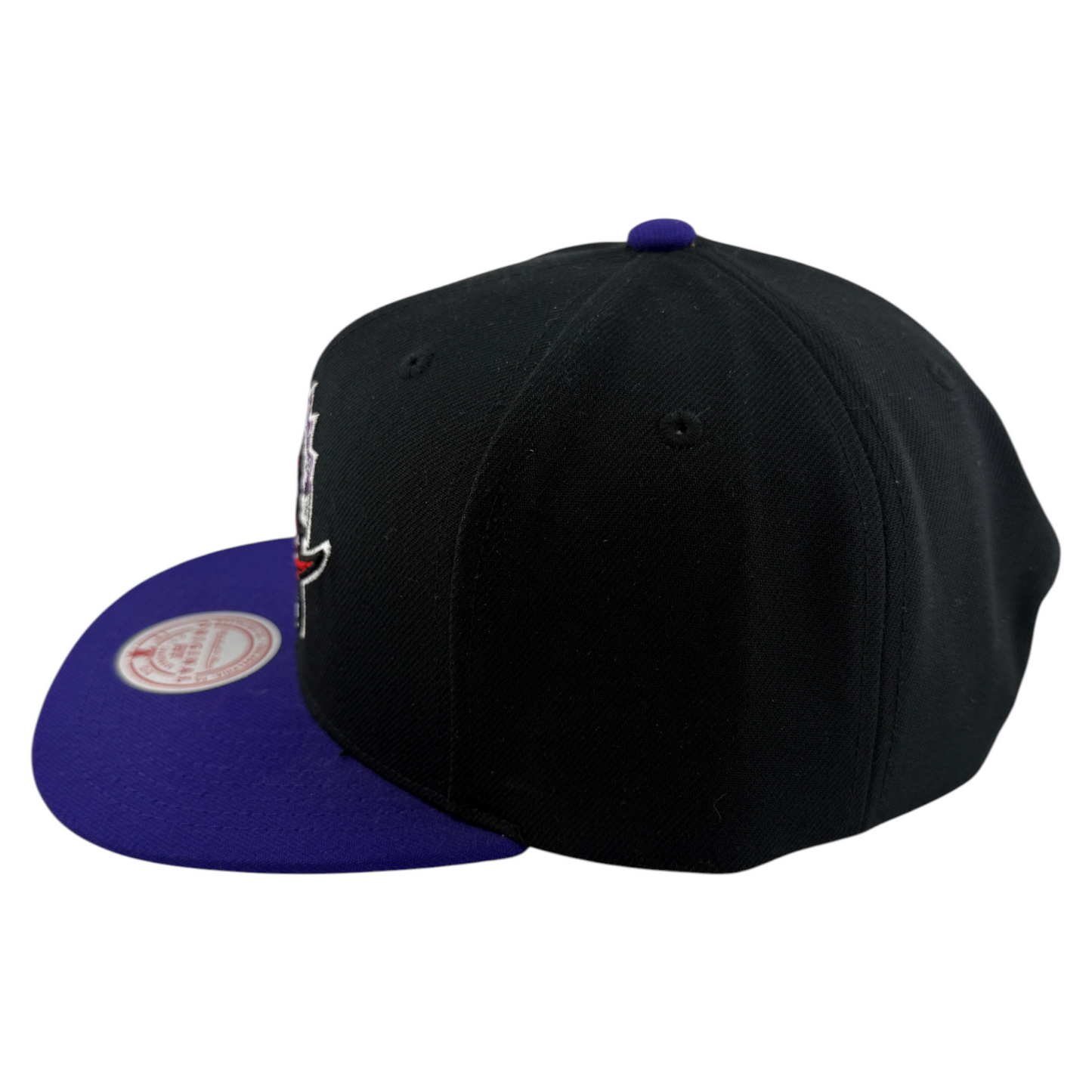 Mitchell & Ness Toronto Raptors NBA Original Fit Adjustable OG Snapback Hat Cap