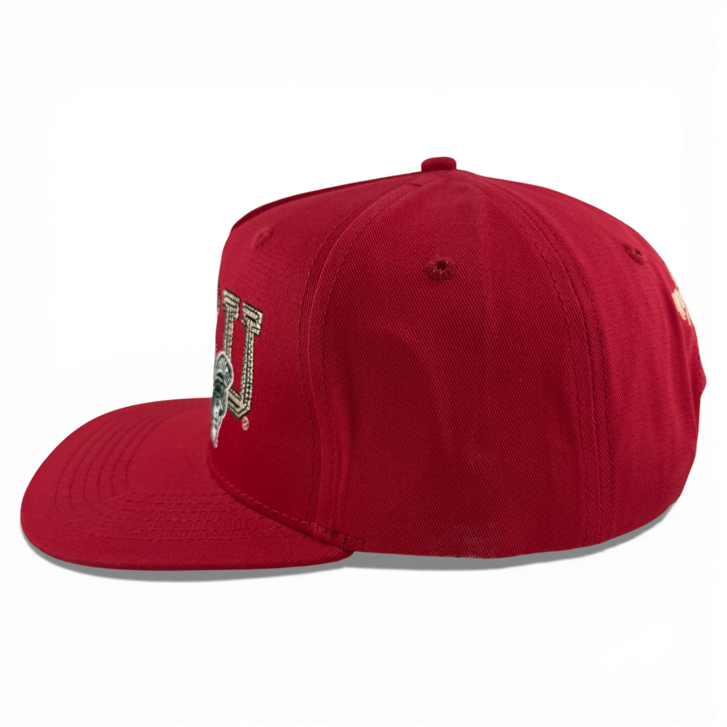 Travis Scott Cactus Jacks Michigan State Univiersity A-Frame Snapback Adjustable