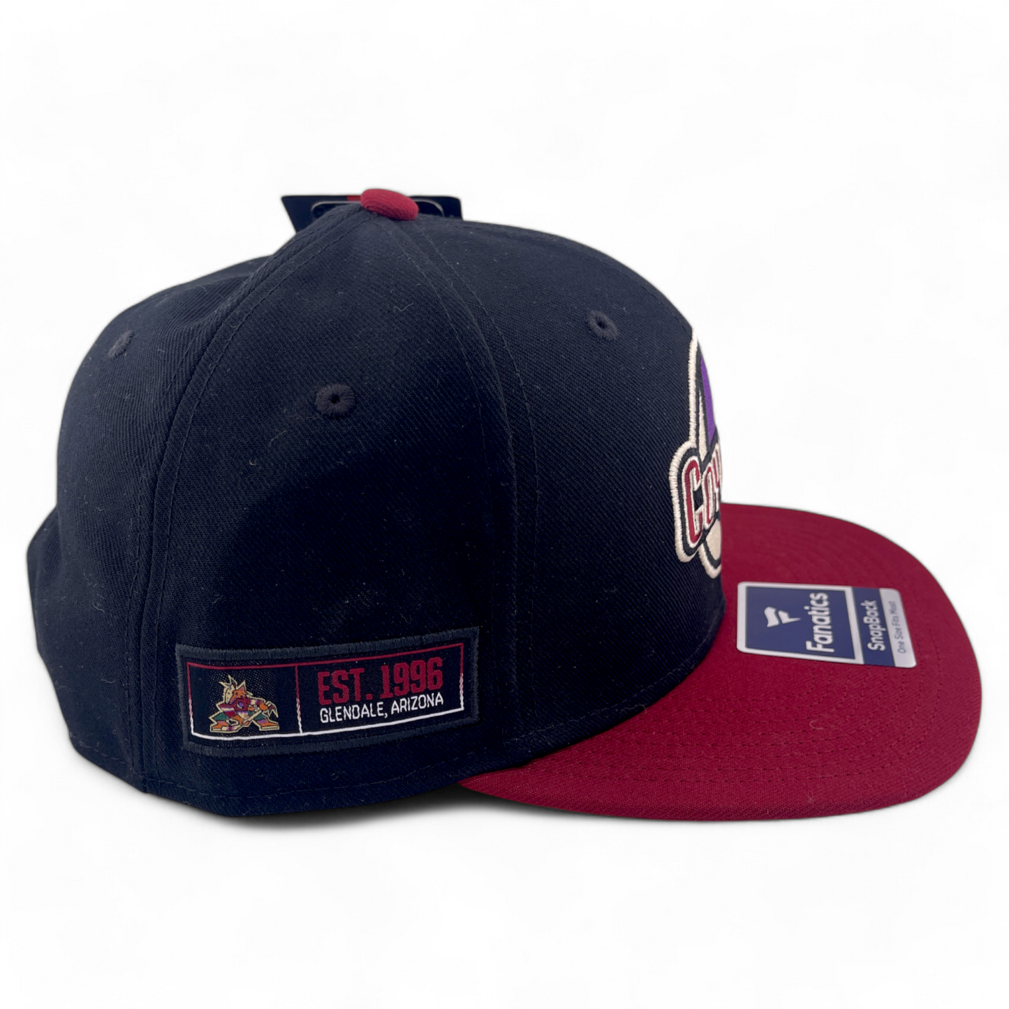 Fanatics Arizona Coyotes NHL Hockey Iconic Colorblock Snapback Adjustable Hat