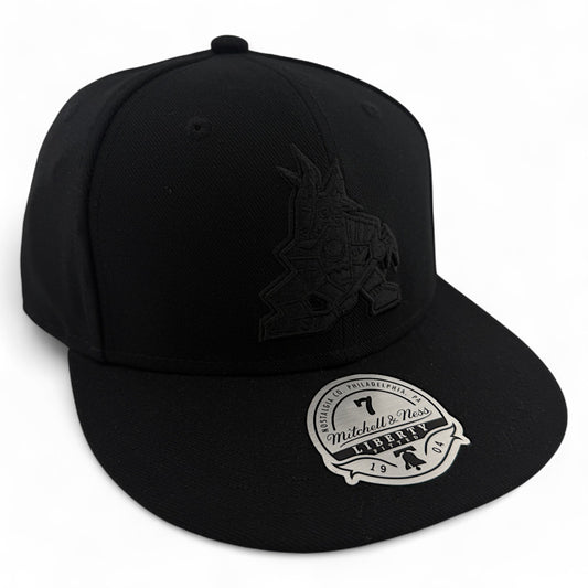 Mitchell & Ness Arizona Coyotes NHL All Black Blacked Out Dynasty Fitted Hat Cap