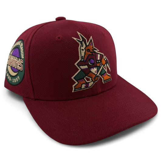 Mitchell & Ness Arizona Coyotes NHL Patch Youth Fit Snapback Adjustable Hat Kids