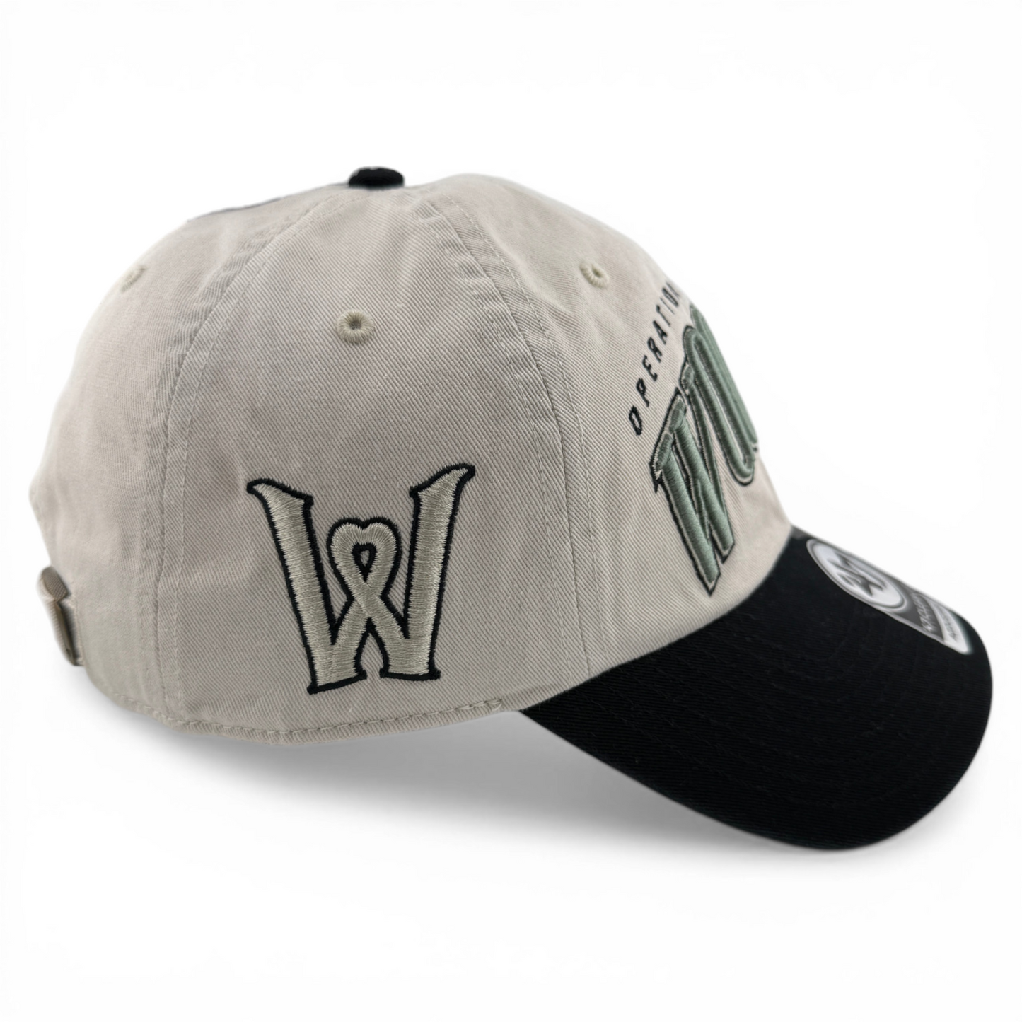 '47 Brand Worcester Red Sox WooSox MiLB OHT Glory Clean Up Adjustable Dad Hat