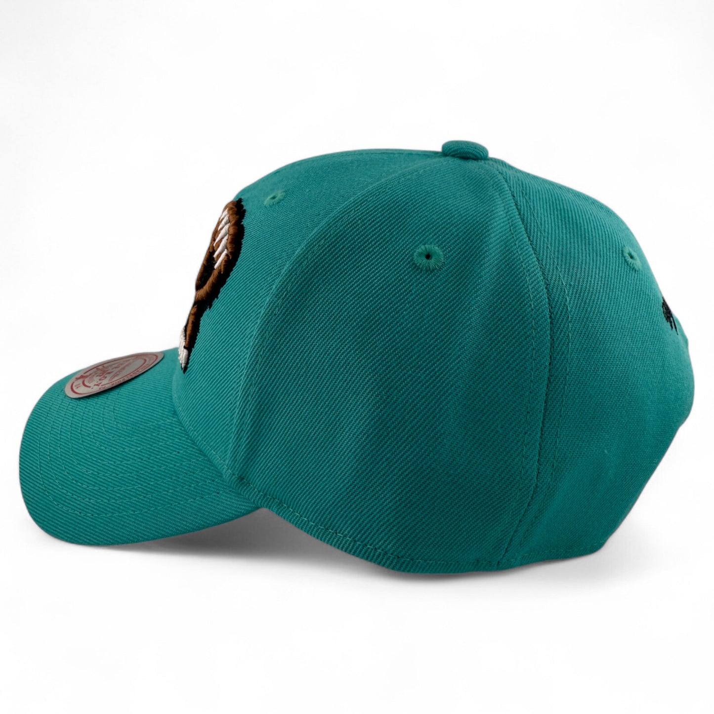 Mitchell & Ness Vancouver Grizzlies The Roy Fit Low Profile Adjustable Hat Cap