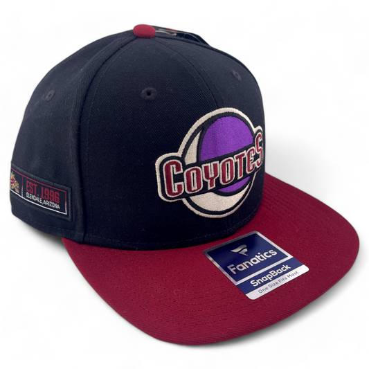 Fanatics Arizona Coyotes NHL Hockey Iconic Colorblock Snapback Adjustable Hat