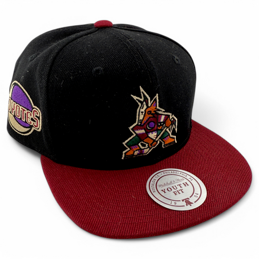 Mitchell & Ness Arizona Coyotes NHL Core Youth Fit Snapback Adjustable Hat Kids