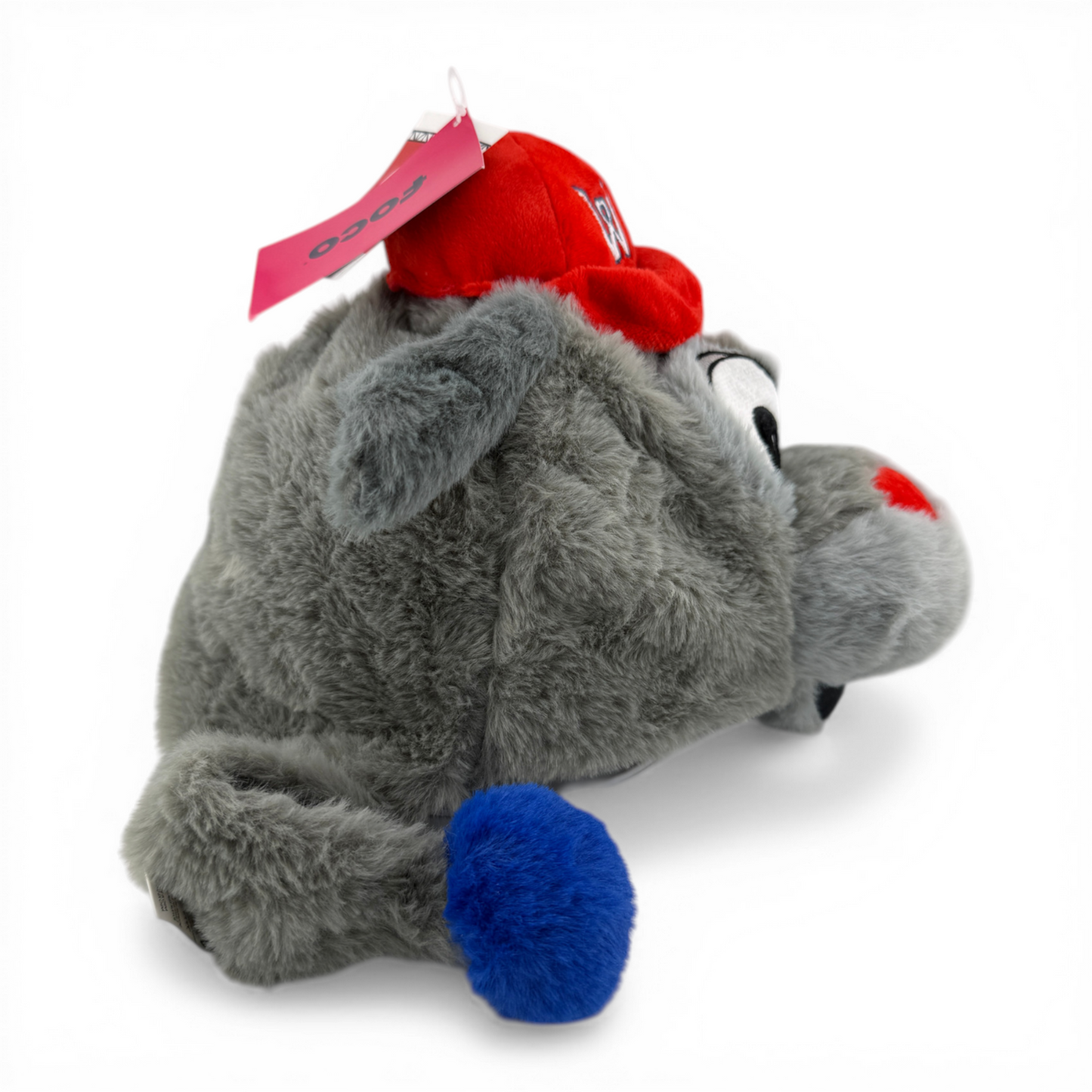 FOCO Worcester Red Sox WooSox Woofster Plush Dog Mascot Trapper Beanie Hat ADULT