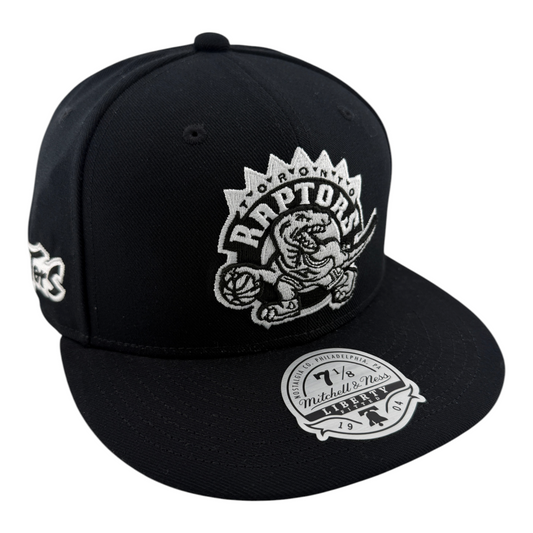 Mitchell & Ness Toronto Raptors NBA Two Tonal Black/White Liberty Fitted Hat