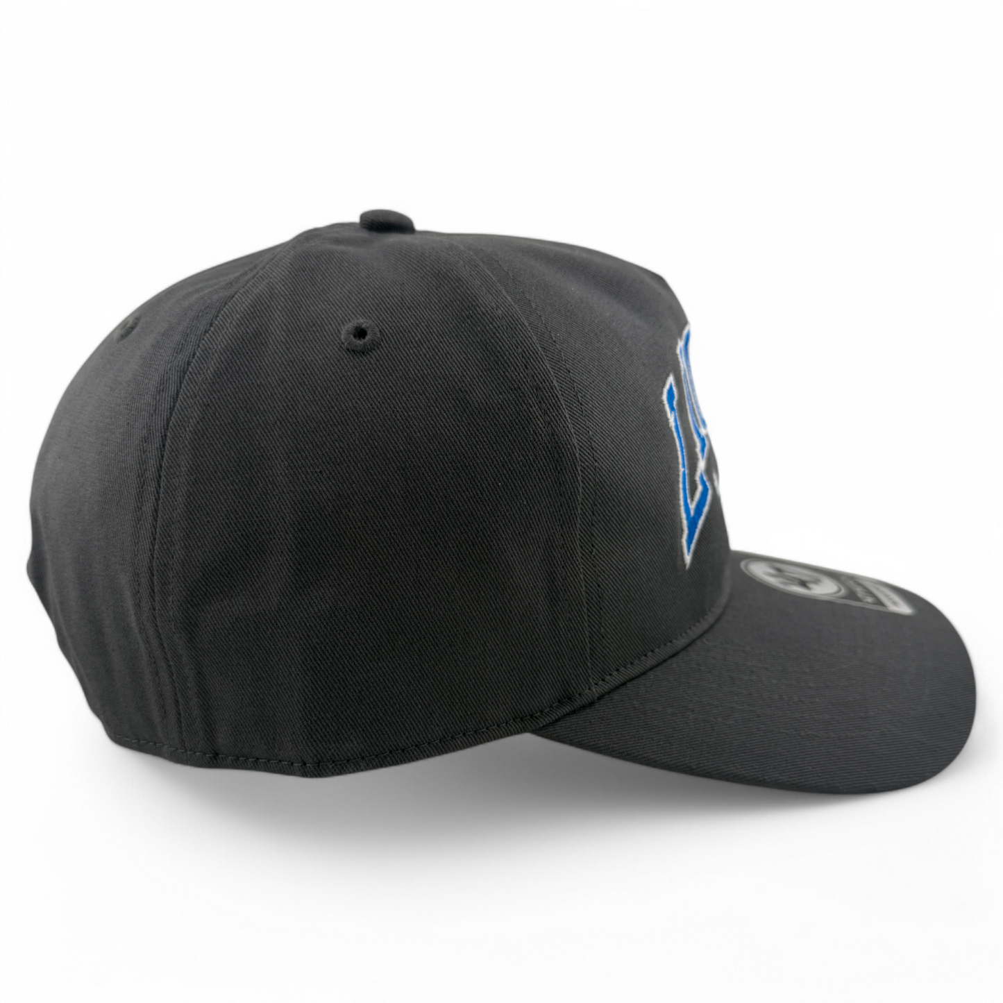 NEW '47 Brand Detroit Lions Team Logo NFL Charcoal Gray Hitch Snapback Hat Cap