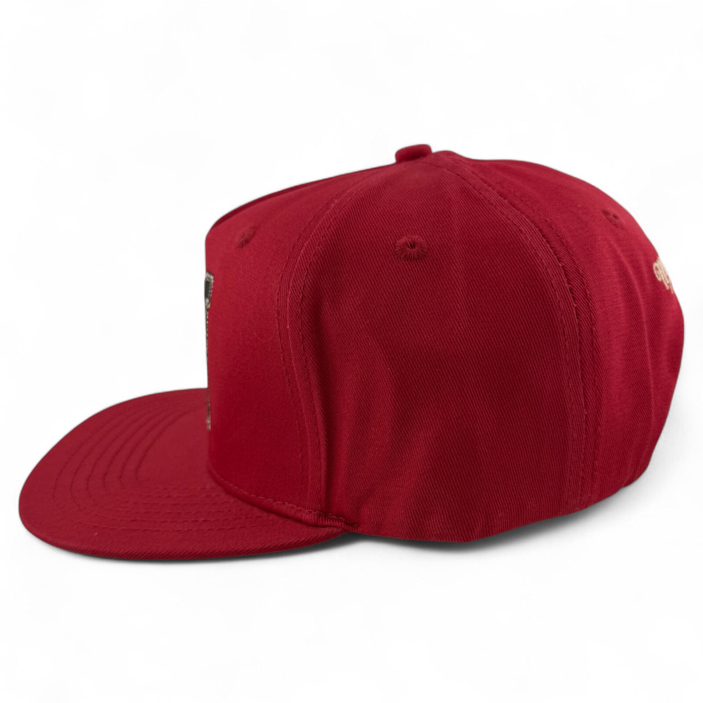 Travis Scott Cactus Jacks Mississippi State University A-Frame Snapback Hat Cap