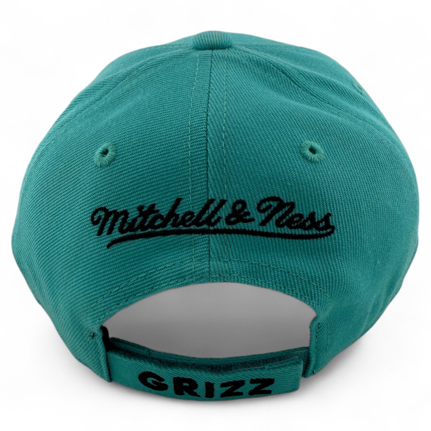 Mitchell & Ness Vancouver Grizzlies The Roy Fit Low Profile Adjustable Hat Cap