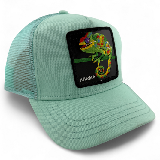 Goorin Bros Karma Chameleon The Farm Trucker Mesh Adjustable Snapback Hat Cap