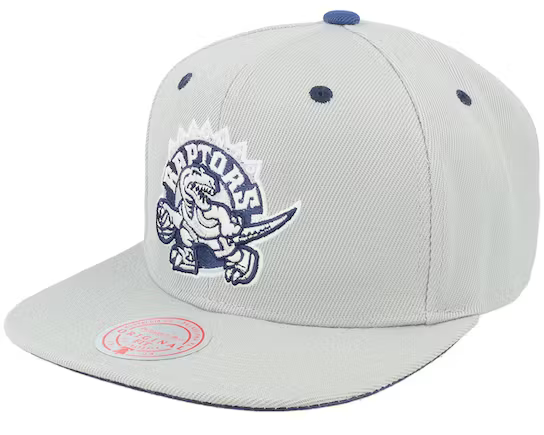 Mitchell & Ness Toronto Raptors NBA 20th Season The District Grey Snapback Hat