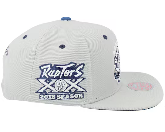 Mitchell & Ness Toronto Raptors NBA 20th Season The District Grey Snapback Hat