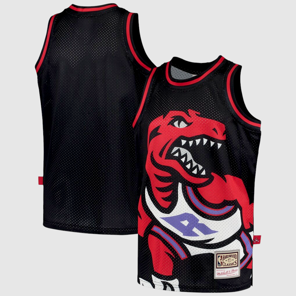 Mitchell & Ness Toronto Raptors Hardwood Classics Big Face 2.0 Fashion Jersey S