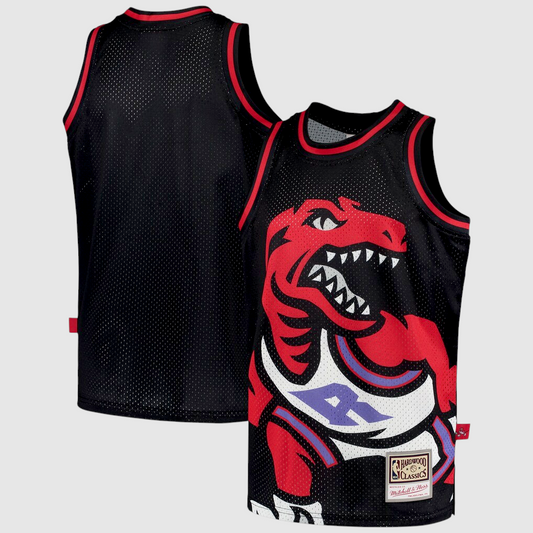 Mitchell & Ness Toronto Raptors Hardwood Classics Big Face 2.0 Fashion Jersey S