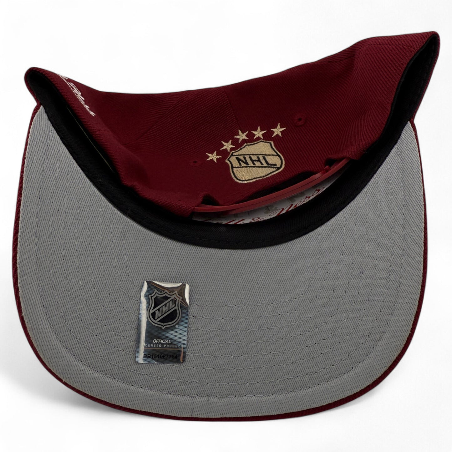 Mitchell & Ness Arizona Coyotes NHL Patch Youth Fit Snapback Adjustable Hat Kids