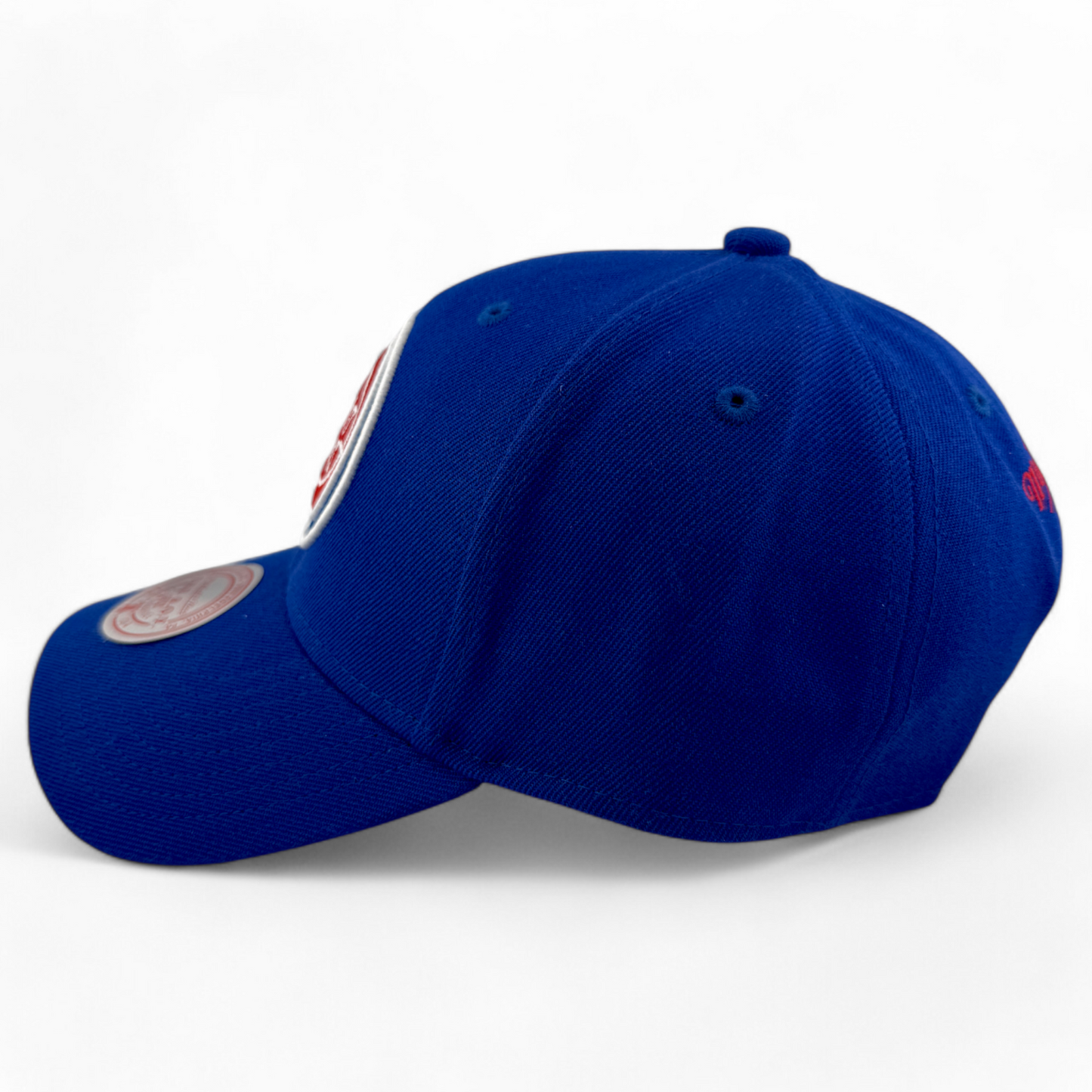 Mitchell & Ness Detroit Pistons NBA The Roy Fit Low Profile Adjustable Hat Cap