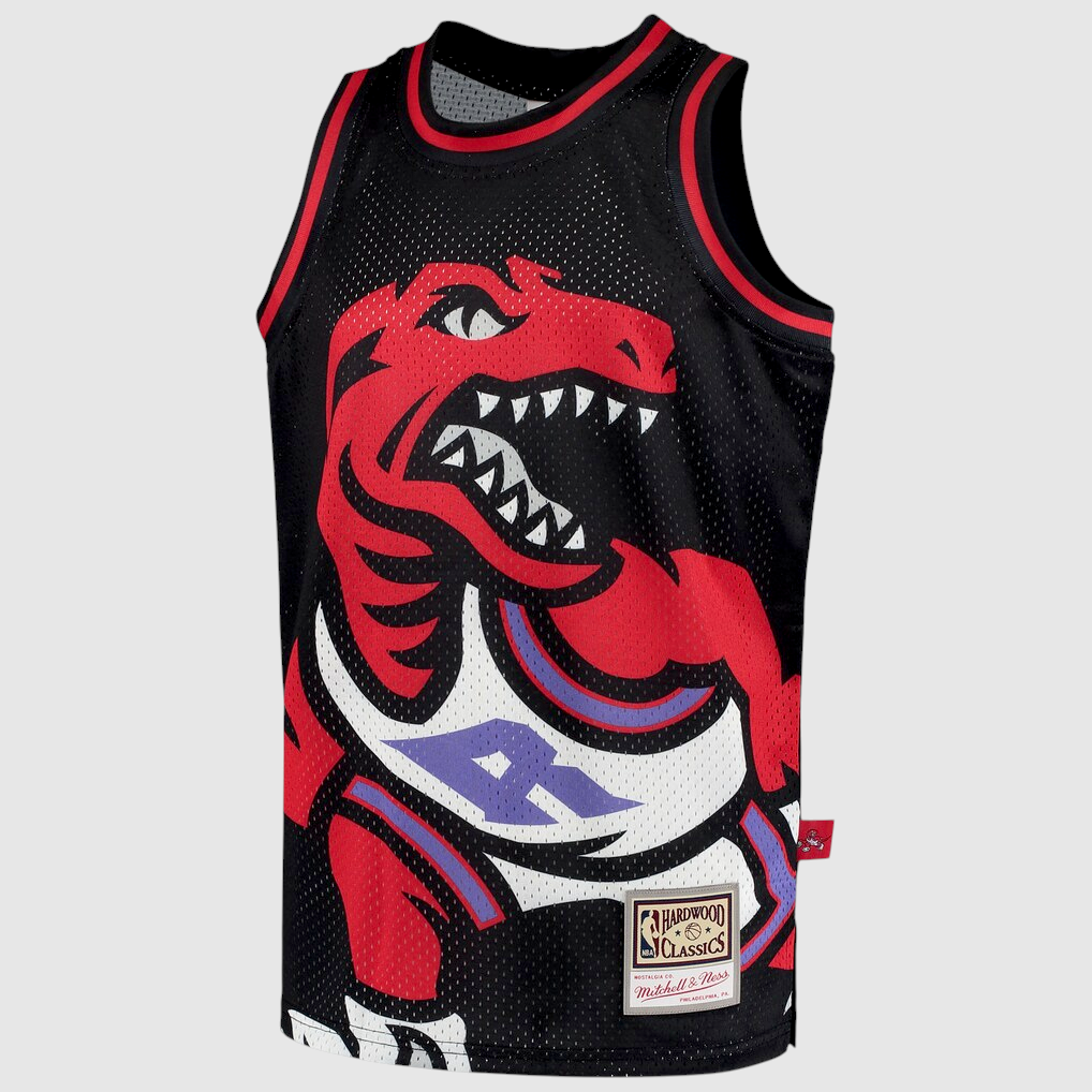 Mitchell & Ness Toronto Raptors Hardwood Classics Big Face 2.0 Fashion Jersey S