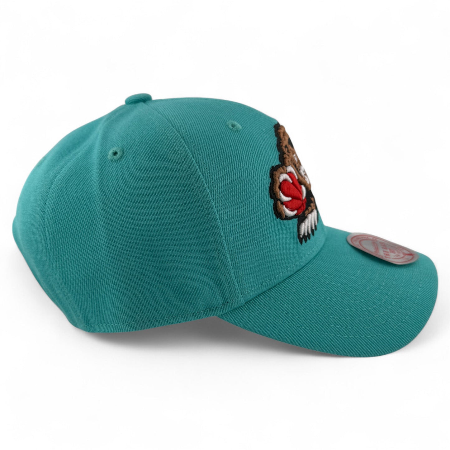 Mitchell & Ness Vancouver Grizzlies The Roy Fit Low Profile Adjustable Hat Cap