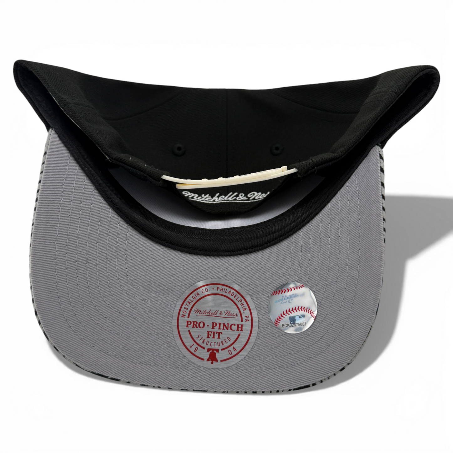 Mitchell & Ness Los Angeles Dodgers Palm A-Frame Pro Pinch Snapback Adjustable