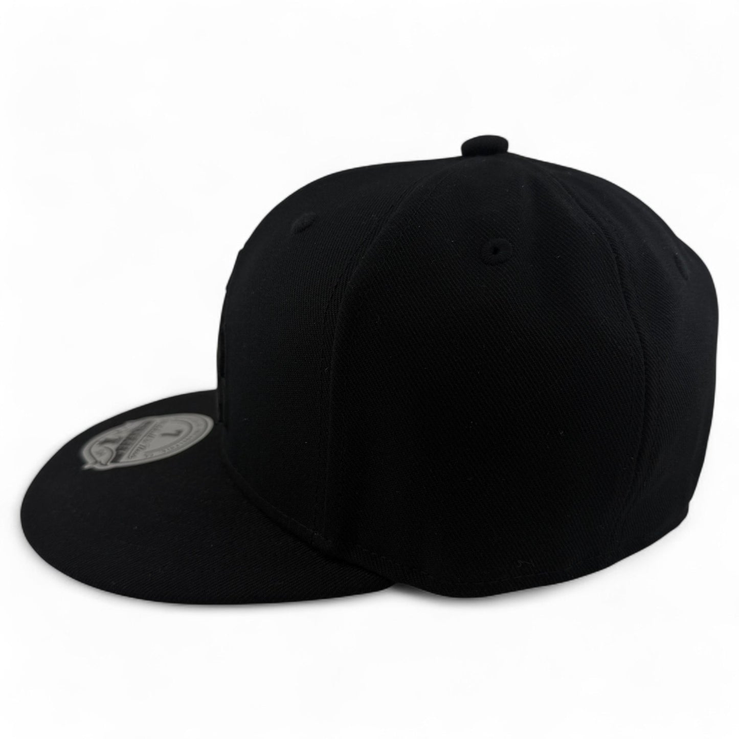Mitchell & Ness Arizona Coyotes NHL All Black Blacked Out Dynasty Fitted Hat Cap